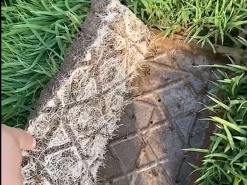 得福裕產品效果